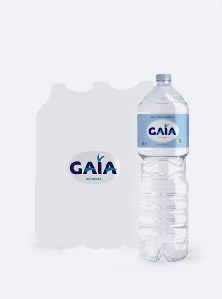 Gaia_2